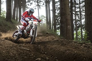 Beta 250 RR - Leihbike für den Motocross-Verleih - Motcross